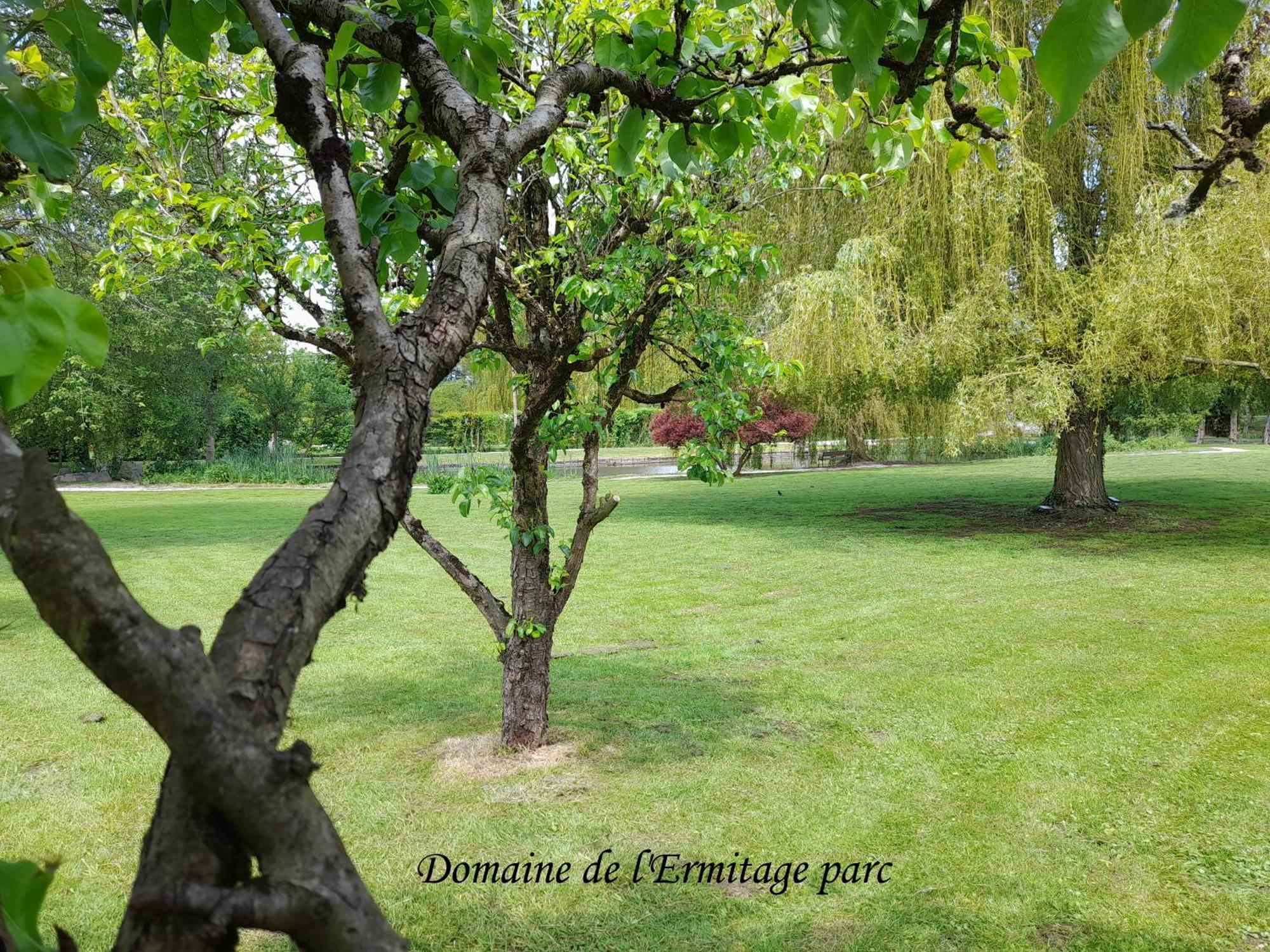 Вілла Domaine De L'Ermitage Рю Екстер'єр фото
