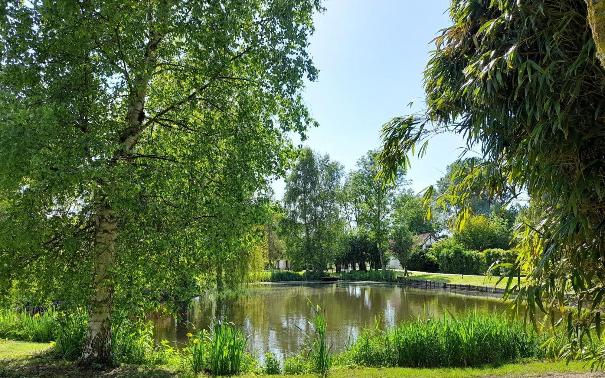 Вілла Domaine De L'Ermitage Рю Екстер'єр фото